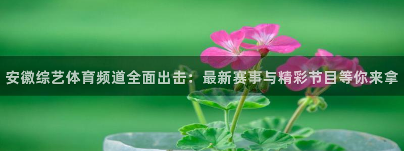 nba直播在线观看免费9球直播