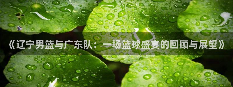 9球直播下载：《辽宁男篮与广东队：一场篮球盛宴的回顾与展望》