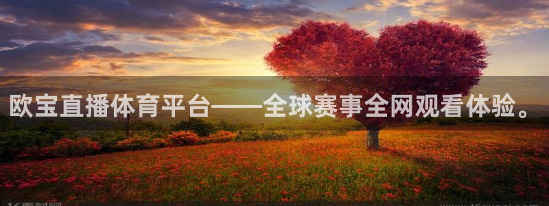 9球直播app篮球：欧宝直播体育平台——全球赛事全网观看体验。