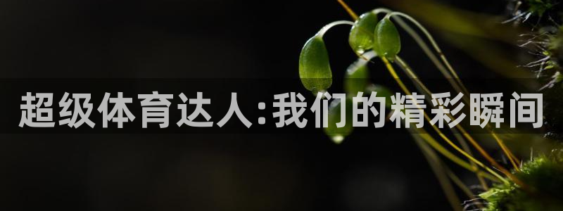 nba9球直播在线观看：超级体育达人:我们的精彩瞬间