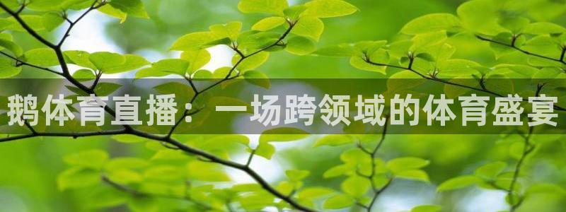 9球直播下载安装：鹅体育直播：一场跨领域的体育盛宴