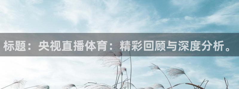 9球直播：标题：央视直播体育：精彩回顾与深度分析。