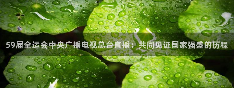 9球直播nba免费观看下载：59届全运会中央广播电视总台直播：共同见证国家强盛的历程