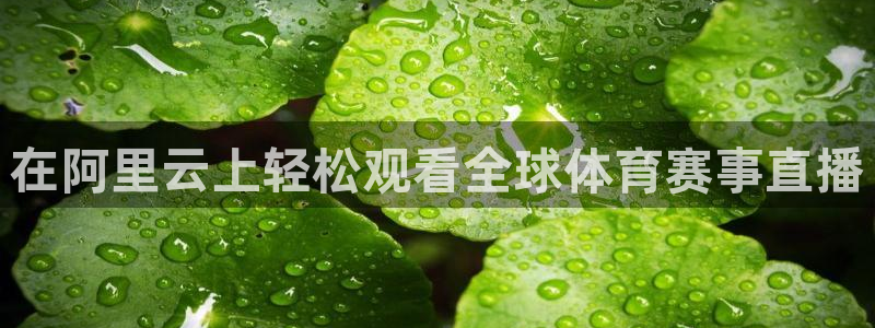 9球直播在线观看免费：在阿里云上轻松观看全球体育赛事直播
