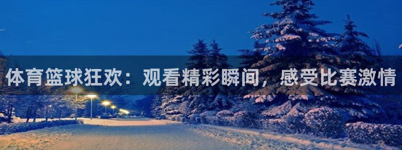 9球直播app下载苹果：体育篮球狂欢：观看精彩瞬间，感受比赛激情
