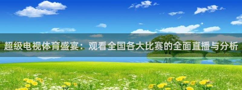 9球直播在线观看nba：超级电视体育盛宴：观看全国各大比赛的全面直播与分析