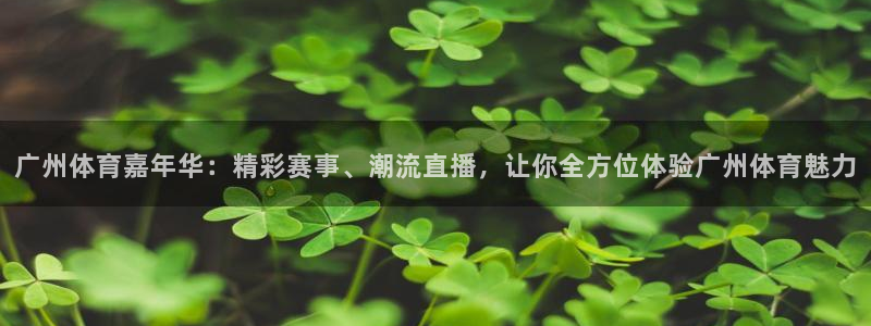 9球直播网：广州体育嘉年华：精彩赛事、潮流直播，让你全方位体验广州体育魅力